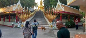 मेरी प्रथम (विदेश यात्रा) थाईलैंड (बैंकॉक) की यात्रा मेरा अनुभव